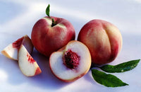 White Peach
